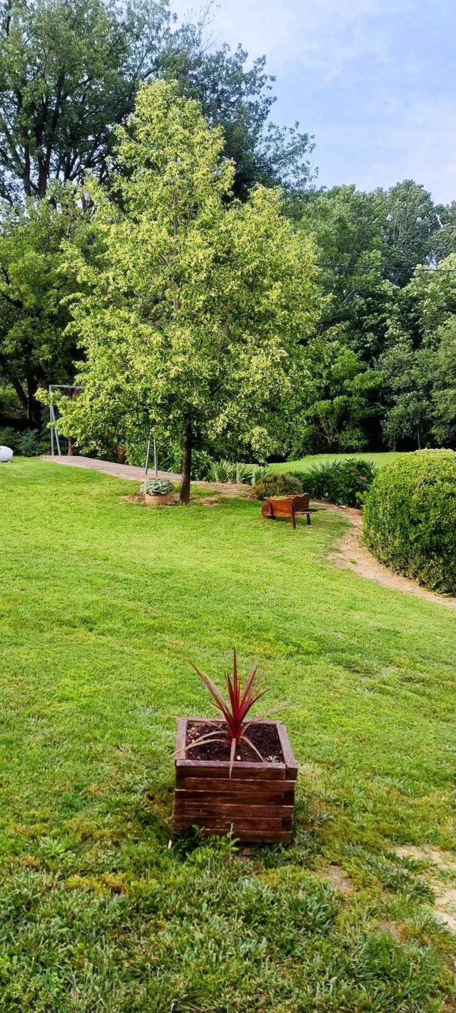 Cal Xaiet Guest House Llampaies Екстериор снимка